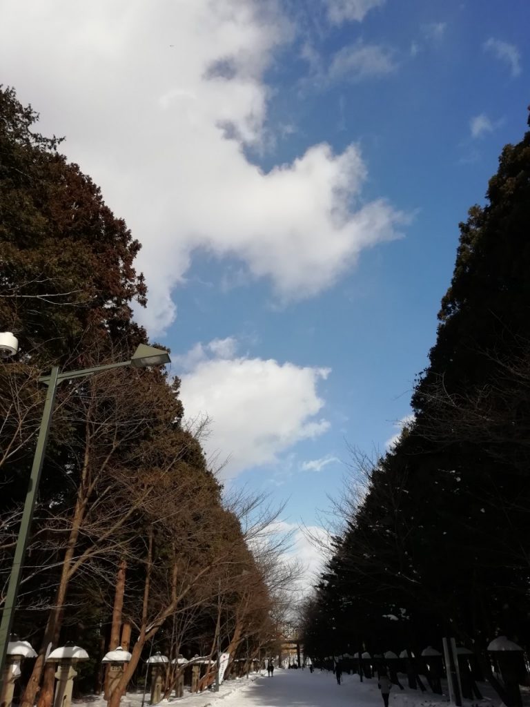 北海道神宮内の空の景色