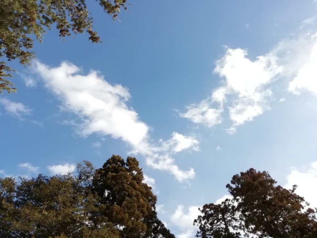 北海道神宮からみた空の景色